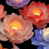 Lotus Flower DIY Lantern Material Kit 3D Mid Autumn Lotus Lantern  Children