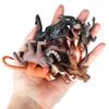 Animal Model Toys Set: Bee, Spider, Centipede, Mantis, Grasshopper, Dragonfly, Butterfly, Beetle, Scorpion, Ant.