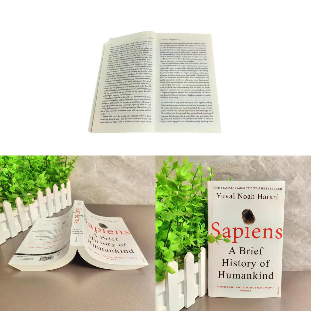 Sapiens Une Brève Histoire de l'Humanité Livre Avec Pages Illustrées Pour les Passionnés d'Histoire