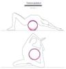 Yoga Wheel & Exercise Equipment Set: Fitness Roller for Backbend Training & Home Pilates