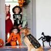Pumpkin Halloween Dog Cloak Hat Adjustable Cats Cosplay Clothes Funny Halloween Pet Apparel  Party