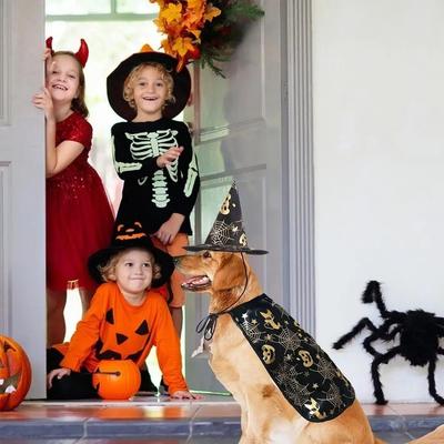 Lustige Kürbis Haustier Halloween Kostüme Umhang Verstellbar Weich Katzen Cosplay Kleidung Fledermaus Schwarz Halloween Haustierbekleidung Party