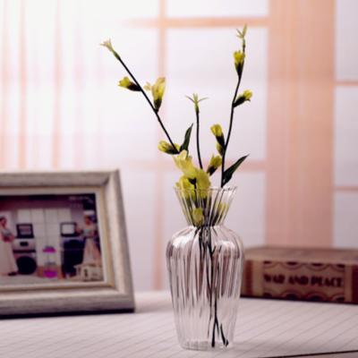 Glazen Vaas Transparant Hydroponisch Gestreept Vaasje Klein Fris Gedroogde Bloemen Verse Bloemen Tafeldecoratie Bloemstuk Vaas