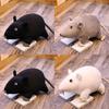 Horror Black Rat Plush Toy For Kids And Adults Alike 20cm Soft And Cuddly Stuffed Doll