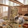 Produse pentru animale – Rozătoare