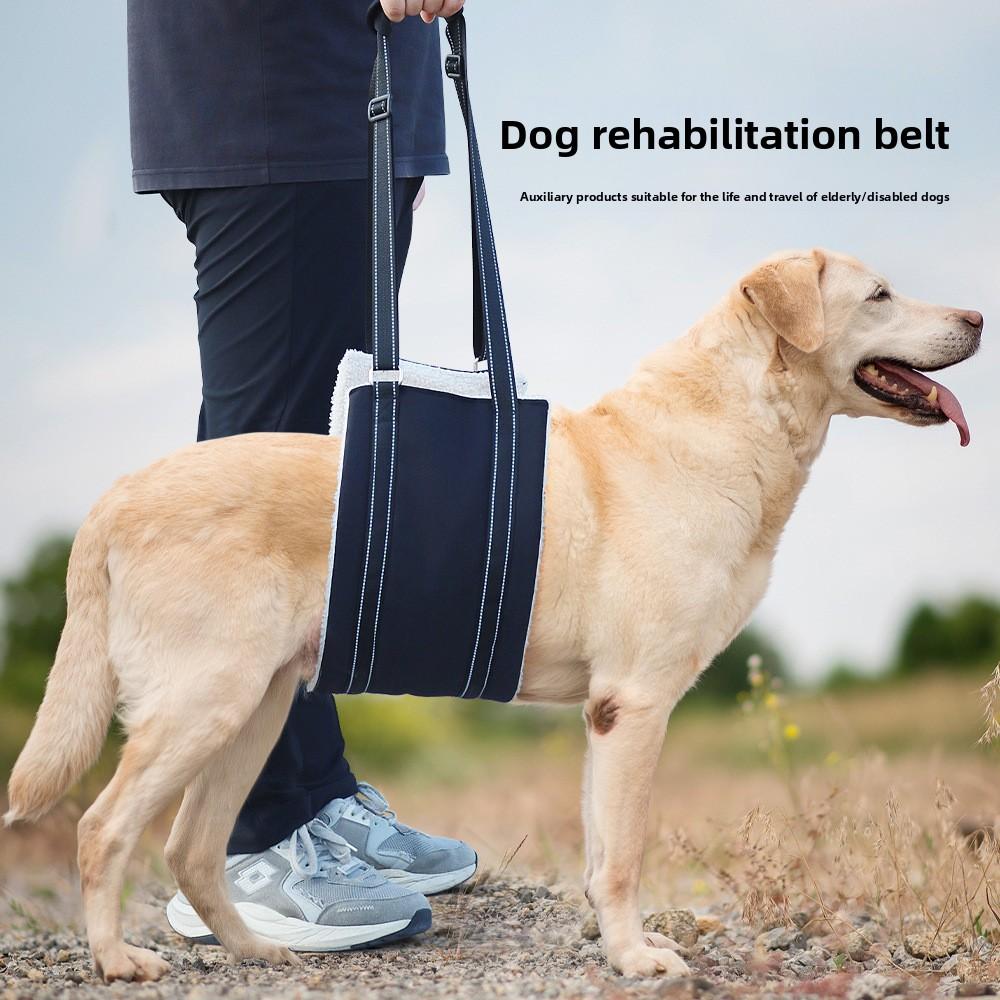 Dog-assisted Pet Rehabilitation Chest and Back Adjustable Reflective Leash Dog Chest and Back