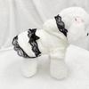 Gonne per Animali, Abbigliamento per Cani, Cappotti Caldi in Peluche per Cani Piccoli, Vestiti Invernali in Peluche per Gatti