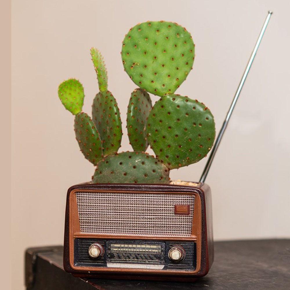Creative Vintage Radio Planter Retro Succulent Flower Pot Gift Radio TV Potted Plant Home Decor