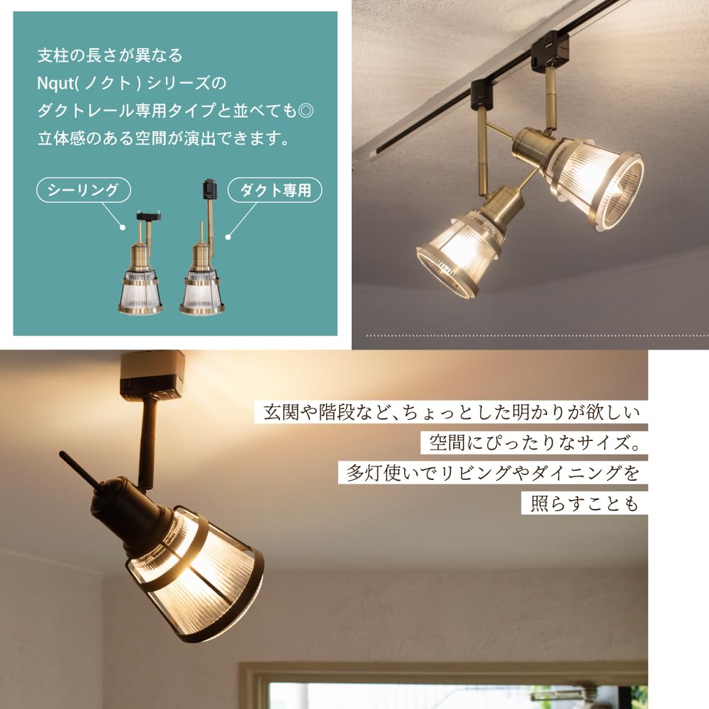 Ampoule Nqut Ceiling Light, Single Light, Black, Modern Glass, Bulb Sold Separately