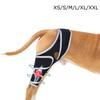 Durable Leg Support Bracket Adjustable Pet Knee Wound Protection  for Hind and Front Legs