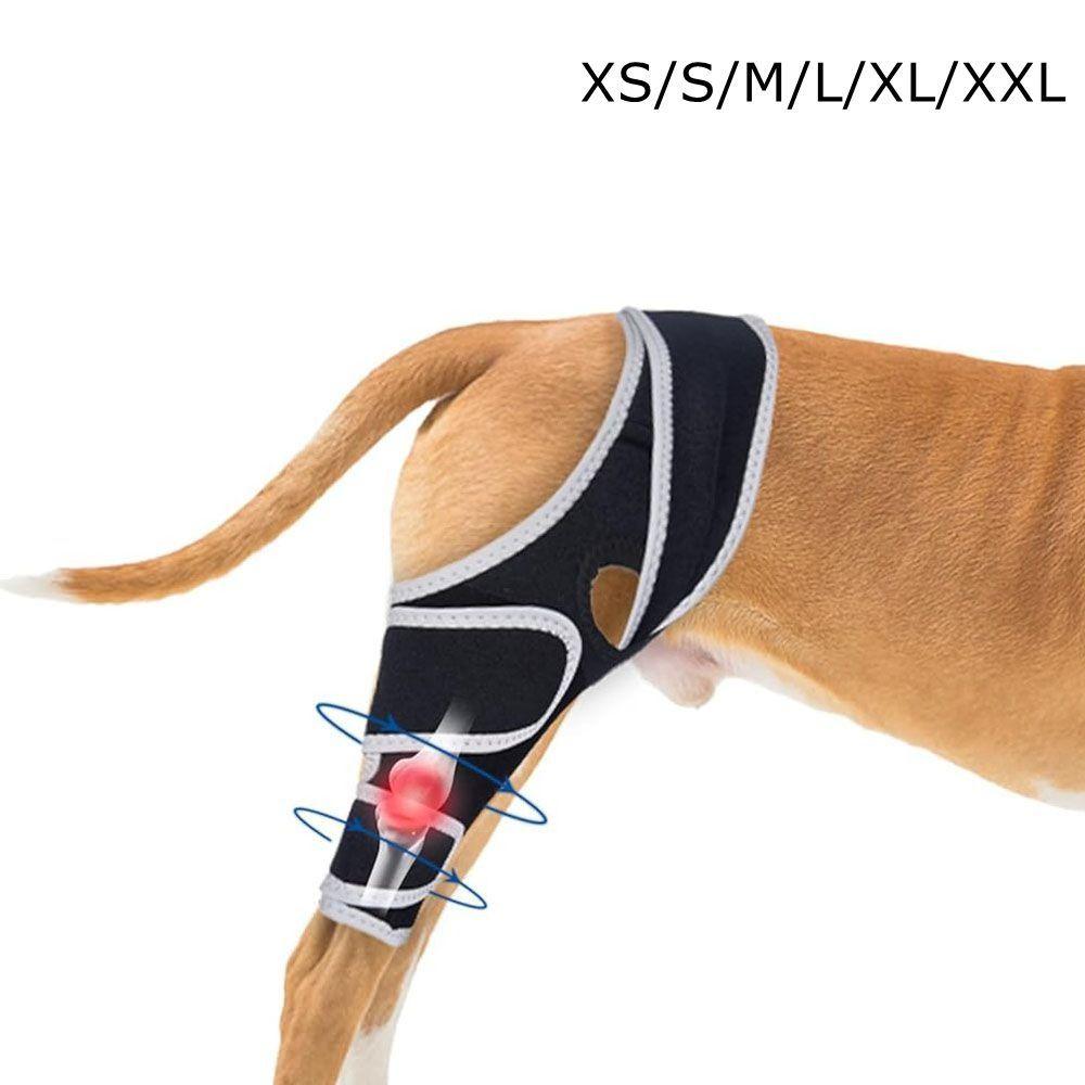 Durable Leg Support Bracket Adjustable Pet Knee Wound Protection  for Hind and Front Legs