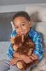 Wild Republic Brown Bear Stuffed Animal Plush Toy, 12"