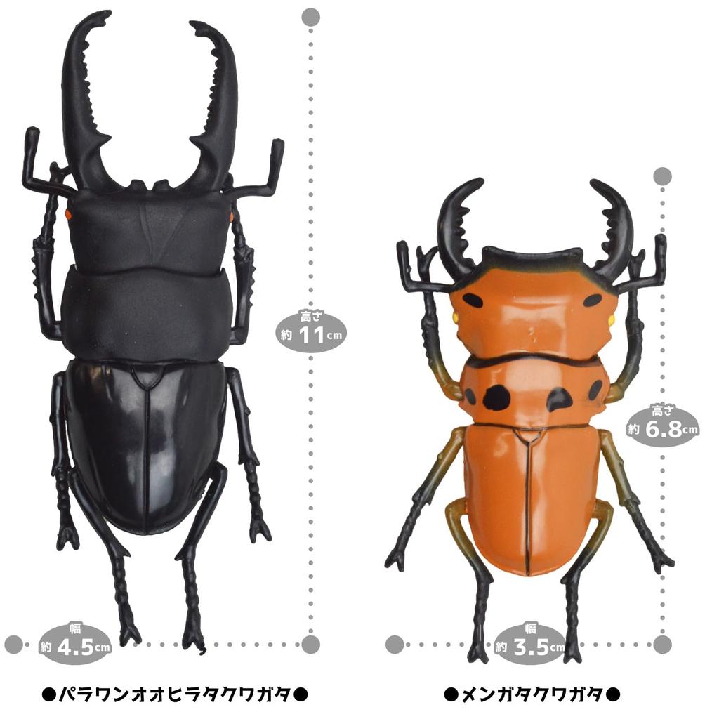 The Access Figure Stag Beetle 3D Picture Book Animal Insect Toy