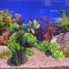 Landschaft Kiefernhaus Landschaft Aquarien Dekorationen für Aquarien Terrarium Garnelenhaus Antike Ornamente