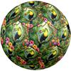 1pc Tropical Toucan Paradise Durable Size 5 Soccer Ball Professional Match Training Football Indoor &Outdoor Sports Ball p60143