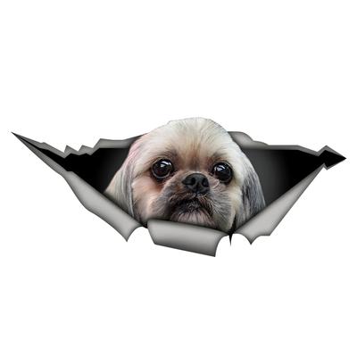 Shih Tzu Car Stickers Funny Waterproof Vinyl Decal Motorcycle Decorative Accessories, Used for Car, Motorcycle, Laptop, Van