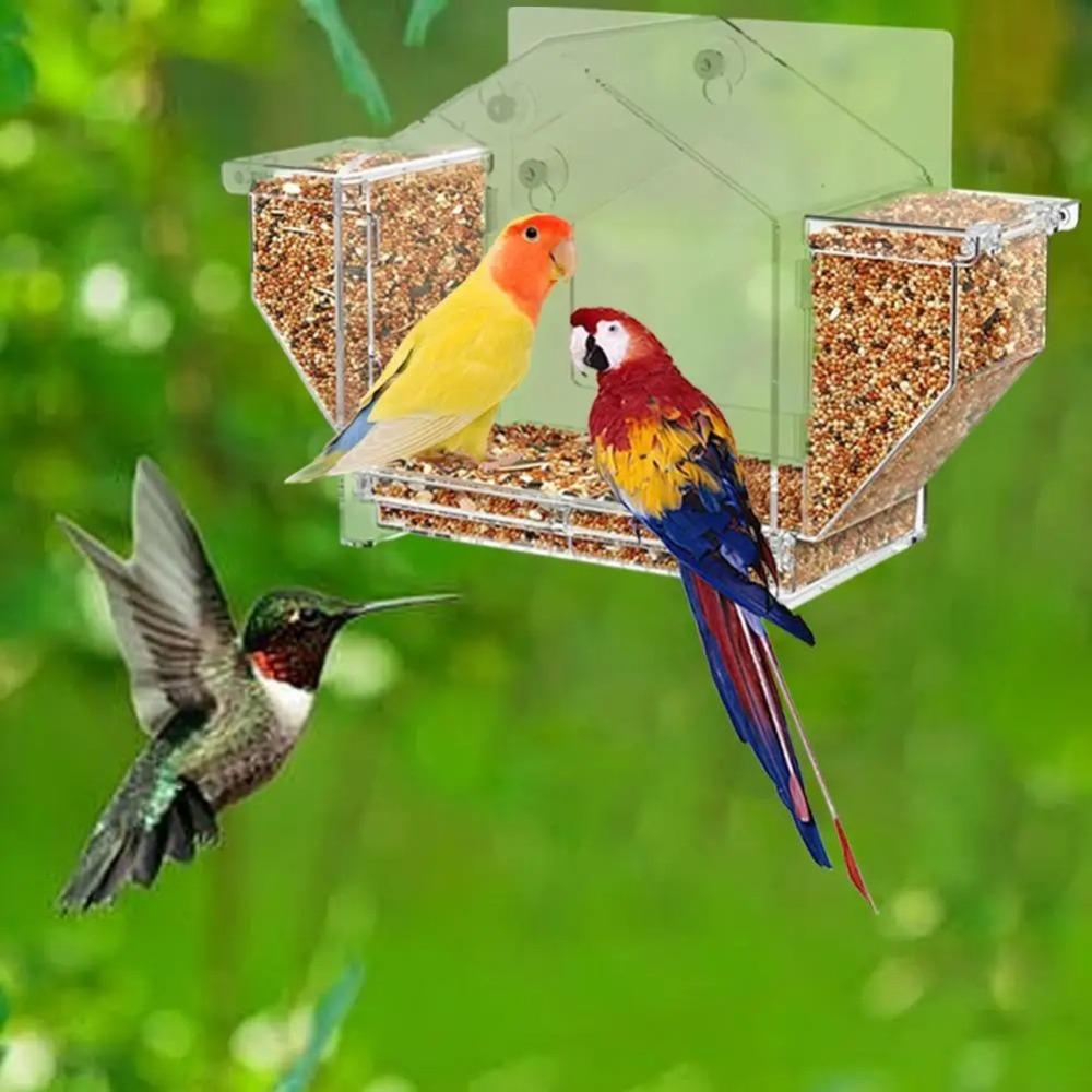 Clear Window Birds Feeder Squirrel-Proof Bird Feeding Trays Birds Feeding House Parrot Parakeet