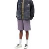 Carhartt WIP FW26 Hoggard Sweat Shorts Women Shorts I036838-3RI-GD