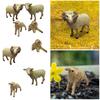 Sheep Animal Figurines, Simulation Zoo Farm for Kids Gift Home Desktop Decor