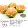 Food replica Whole green mandarin orange that looks like you could eat it keychain (253OK)