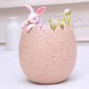 Cute Easters Bunnies and Eggshell Planter Funny Succulents Plant Flower Pots Indoor Bonsais Holder Container Decors
