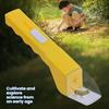 Insect Catcher Outdoor Exploration Insect Observation Box