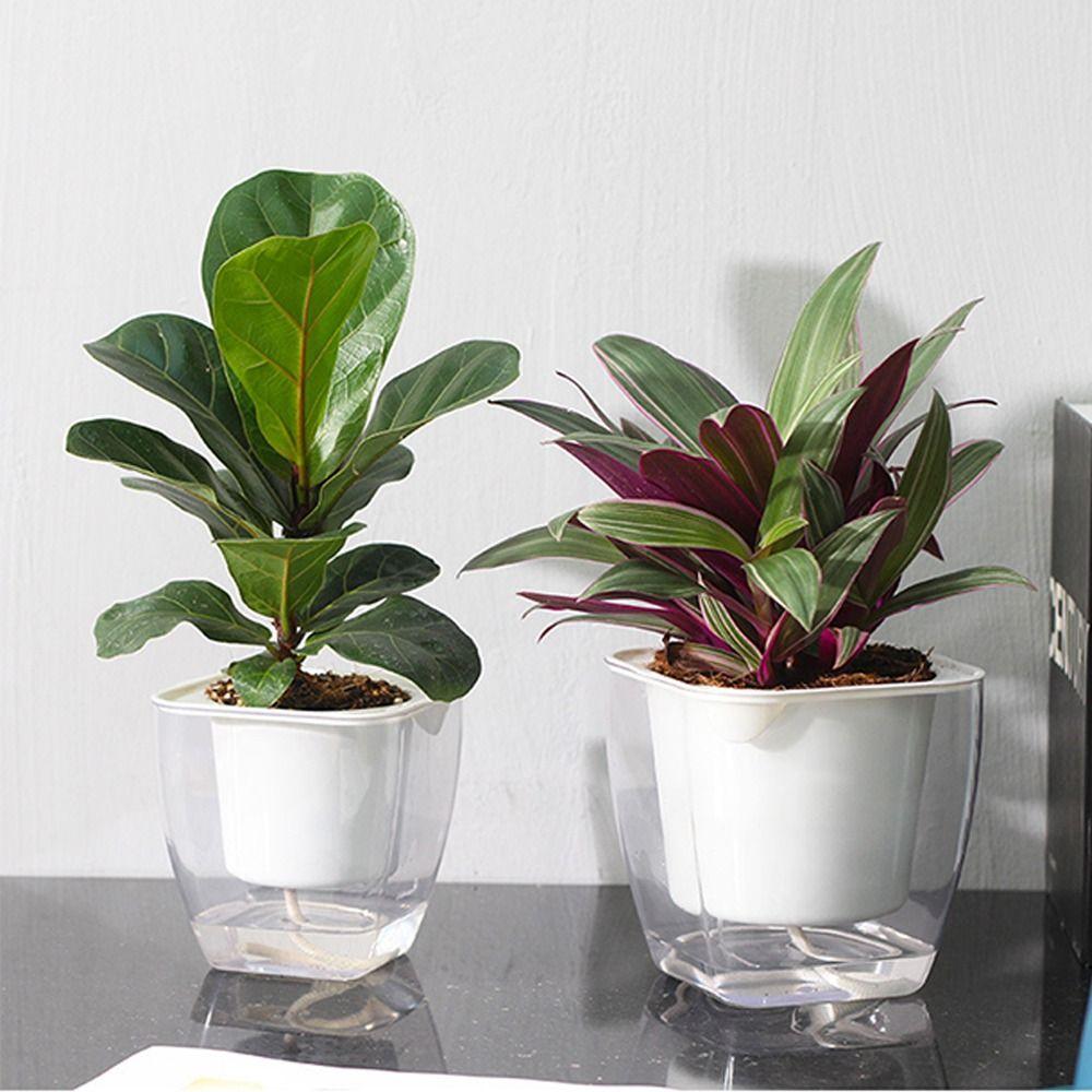 

Translucent Flower Pot Square Desktop Planter Durable Flowerpot Home S