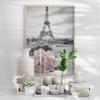 France Paris Pink Rose And Tower Landscape Art Poster, Paris City Art Print, Cityscape Wall Picture Retro Home Living Room Decor No Frame