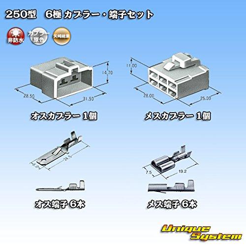 Yazaki Sogyo 250 type CN(A) 6-pole coupler/terminal set