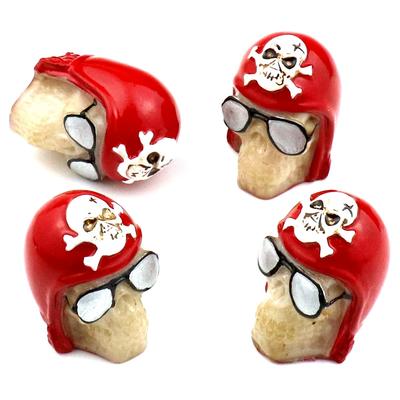 Bashineng Bouchons de Valve de Pneu de Voiture 4 pièces Couvercles de Valve Tête de Mort Ajustement Universel