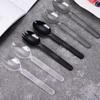 ZISIZ Disposable Plastic Spoons