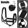 Adjustable Horse Halter Nylon Livestock Strap Animal Bridle Cow Halter with Lead  Outdoor Use