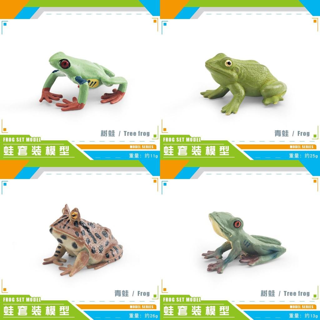 High Quality Decorative Frog Statues Including Red Eyed Tree Frog And Darwin Frog Models