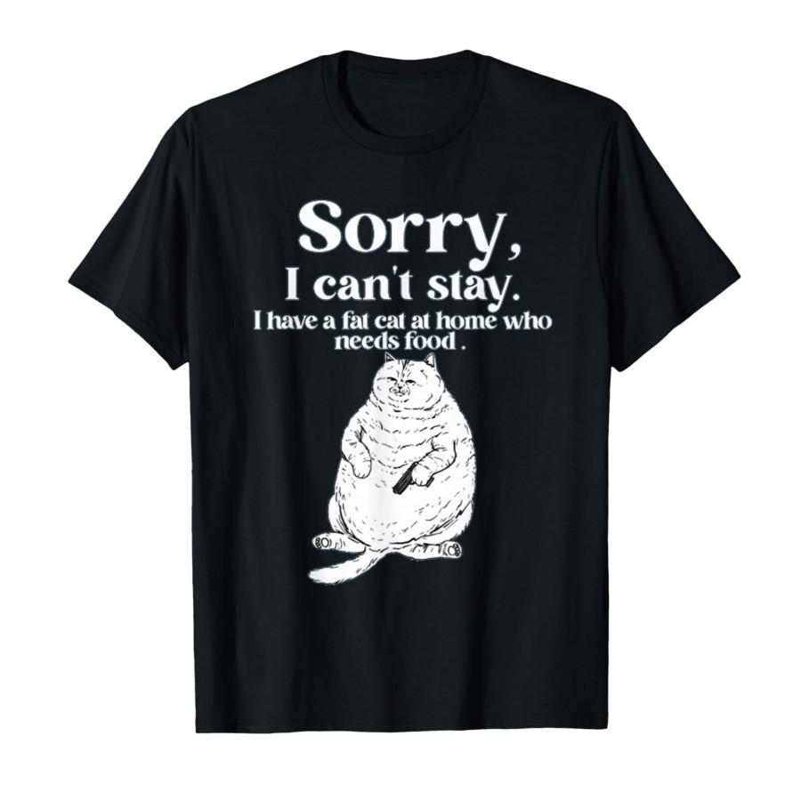 Sorry, I Can’T Stay I Have A Fat Cat at Home Who Needs Food T-shirt For Men Women 100% Cotton T Shirts Short Sleeve Tops 0212... S разноцветный
