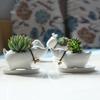 Creative Hand-Painted Succulent Ceramic Flower Pot Simple Modern Balcony Desktop Cartoon Puppy Flower Pot Flower Device