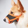 Köpek – Eğitim ve Öğretim Araçları