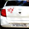 18x15cm Five Different Star Types Car Sticker Waterproof Car Decal Vinyl Stickers Car Styling Accessories Pegatinas Para Coche