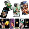 Cover for Apple iPhone 16 15 14 Plus 13 12 Mini 17 Pro Max + ProMax 16E Air 16+ 15+ Case Anime Luffy One Roronoa Zoro Piece