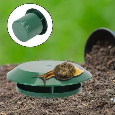 Jardim e horta – Proteção contra pragas de jardim