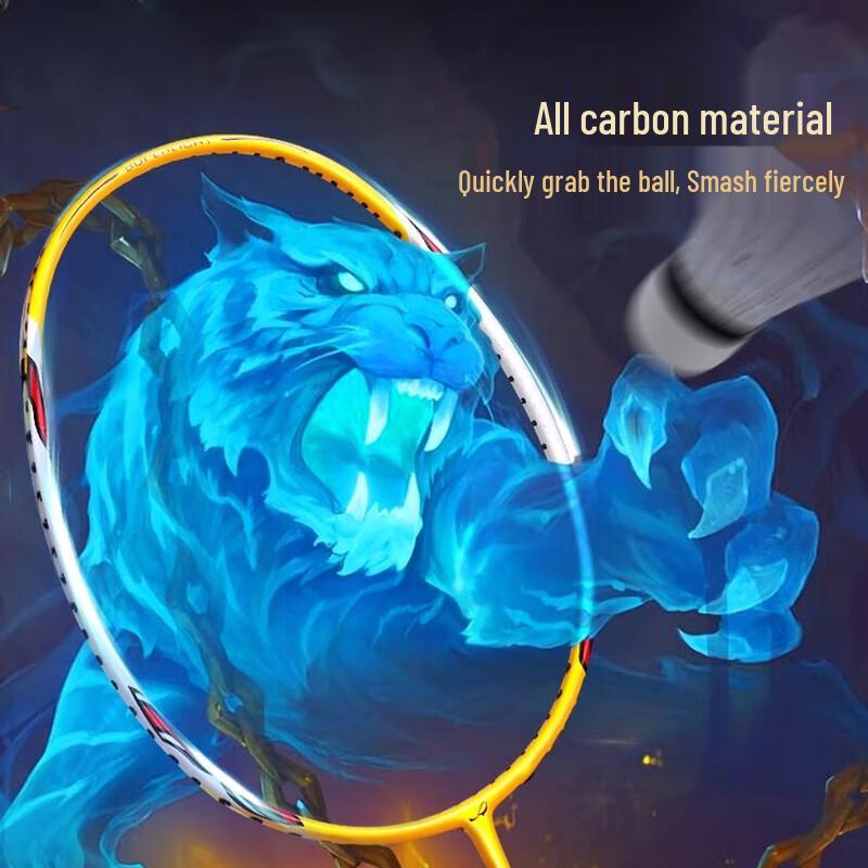 Double Fish QT1709 Full Carbon Badminton Racket