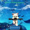Yousheng 1 Set Fish Tank Decoration Exquisite Mini Cat Statue Ornament with Small Floating Ball Aquarium Accessories