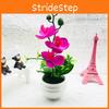 Phalaenopsis Decorative Potted Plant For Living Room Decor And Display Gift