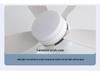 2025 E27 Screw Base Fan Light with Detachable Blades, Replaceable Light Source, Three-Color Stepless Dimming, and Timer