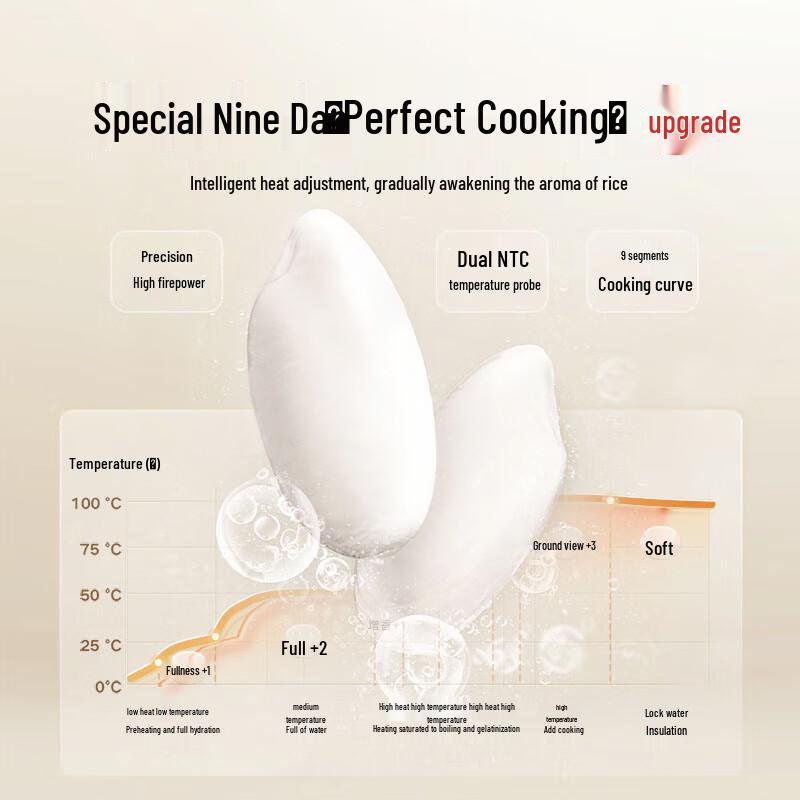 Xiaomi Mijia N1 3L Reiskocher CN-Stecker (Adapter enthalten)