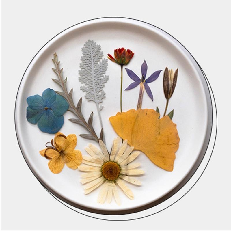 Natural Pressed Dried Flower For Epoxy Resin Dry Flowers and Leaves Set for Soap Candle Jewelry Making Scrapbooking