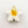 Plumeria Claw Clip: European & American Stylish Hair Accessory for Updos