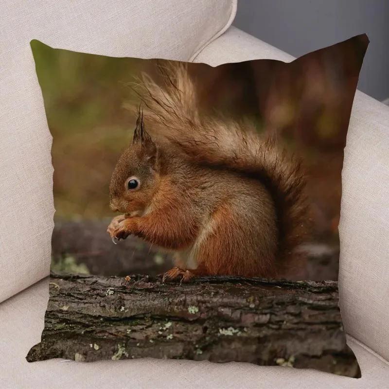 Cute Squirrel Cushion Cover Pillowcase Pillow Covers Home Decor Pet Animal Pillows Case Super Soft Polyester Pillows Covers