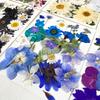 25PCS Dried Flowers Set for DIY Resin Pendant Making Filling Pressed Real Natural Flowers Leaves for Bookmark Phose Case Making