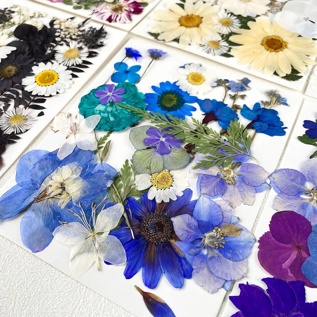 25PCS Dried Flowers Set for DIY Resin Pendant Making Filling Pressed Real Natural Flowers Leaves for Bookmark Phose Case Making