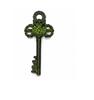 TreegoArt Attraktives Messing Schloss Schlüssel Set mit erstaunlichem Eulen Design Grün Beschichtetes Funktionelles Messing Schloss mit 2 Schlüsseln - Packung von 1